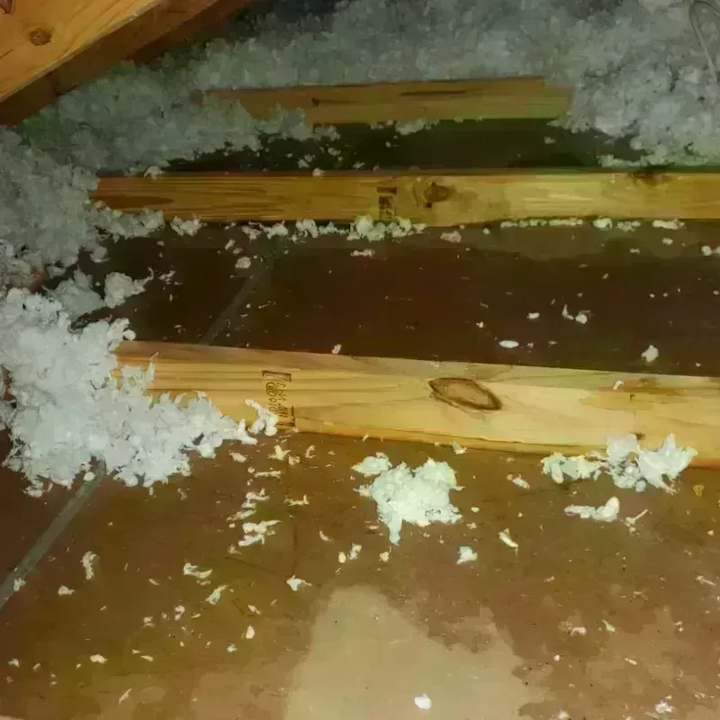 Attic Water Damage in Lee County, MS