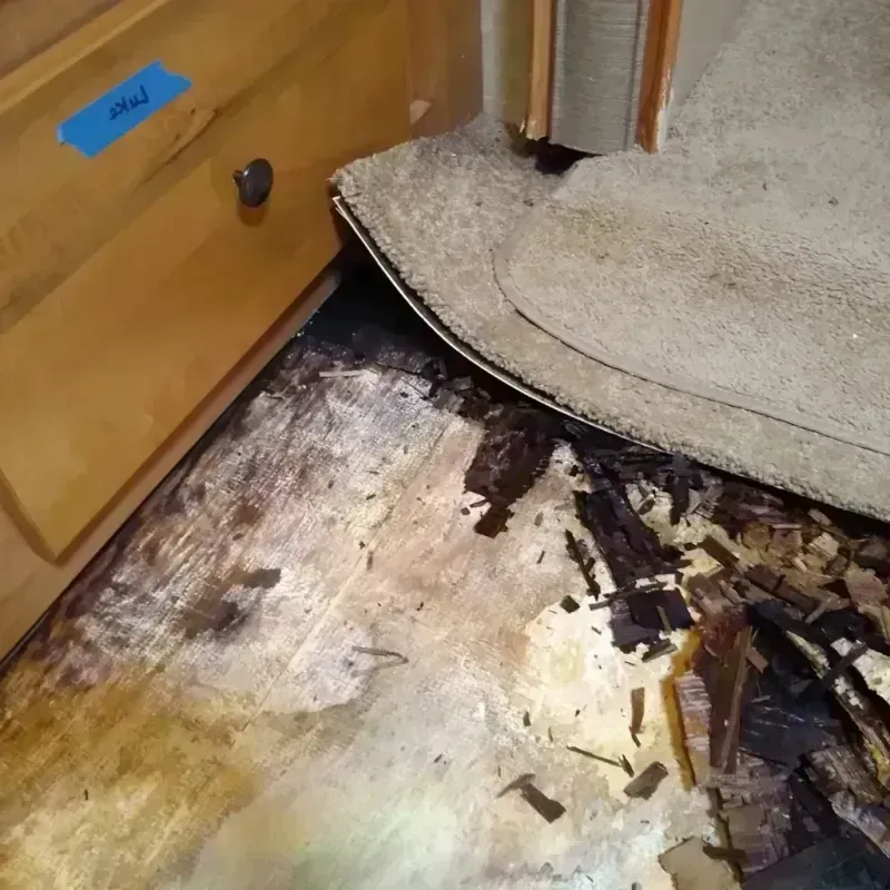 Wood Floor Water Damage in Lee County, MS